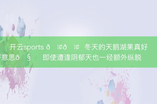 开云sports 🦢🦢  冬天的天鹅湖果真好好意思🧊  即使遭逢阴郁天也一经额外纵脱❄️❄️