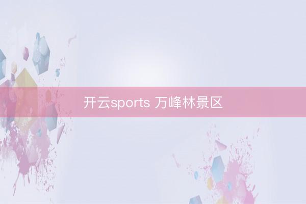 开云sports 万峰林景区