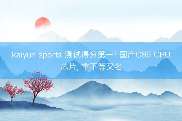 kaiyun sports 测试得分第一! 国产C86 CPU芯片， 拿下等又名