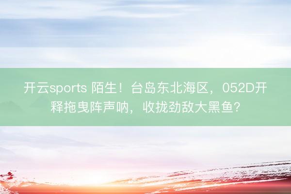 开云sports 陌生!台岛东北海区,052D开释拖曳阵声呐,收拢劲敌大黑鱼?