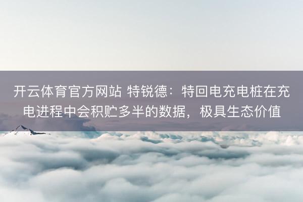 开云体育官方网站 特锐德：特回电充电桩在充电进程中会积贮多半的数据，极具生态价值