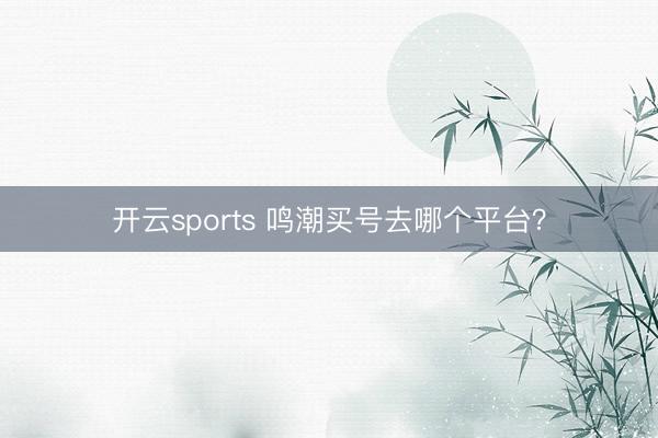 开云sports 鸣潮买号去哪个平台?