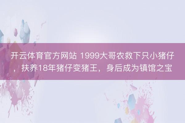开云体育官方网站 1999大哥农救下只小猪仔,扶养18年猪仔变猪王,身后成为镇馆之宝