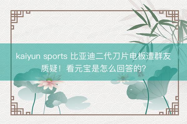 kaiyun sports 比亚迪二代刀片电板遭群友质疑!看元宝是怎么回答的?