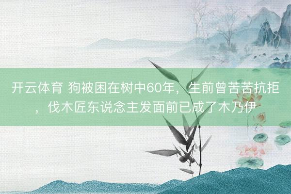 开云体育 狗被困在树中60年，生前曾苦苦抗拒，伐木匠东说念主发面前已成了木乃伊