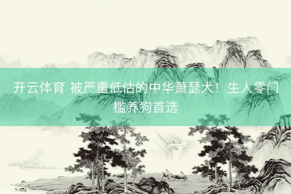 开云体育 被严重低估的中华萧瑟犬！生人零门槛养狗首选