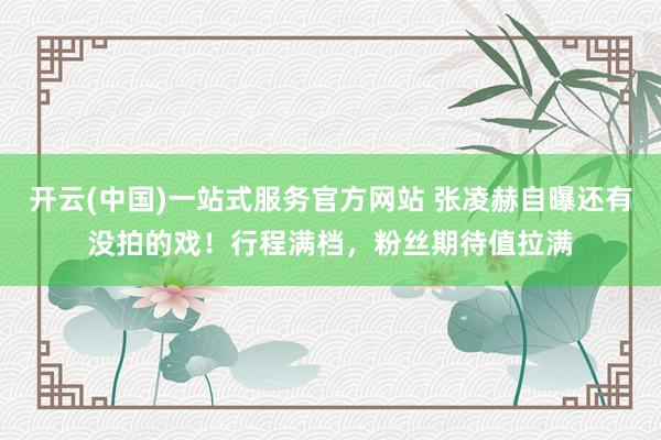 开云(中国)一站式服务官方网站 张凌赫自曝还有没拍的戏！行程满档，粉丝期待值拉满