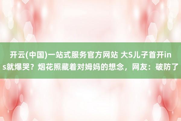 开云(中国)一站式服务官方网站 大S儿子首开ins就爆哭？烟花照藏着对姆妈的想念，网友：破防了