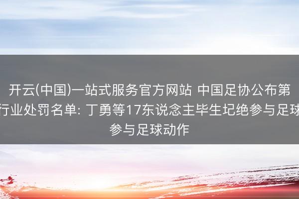 开云(中国)一站式服务官方网站 中国足协公布第三批行业处罚名单: 丁勇等17东说念主毕生圮绝参与足球动作