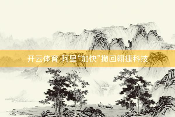 开云体育 阿里“加快”撤回翱捷科技