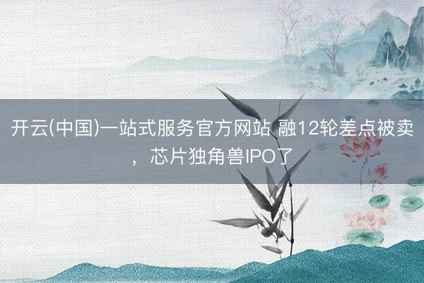 开云(中国)一站式服务官方网站 融12轮差点被卖,芯片独角兽IPO了