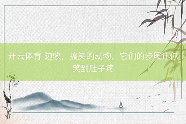 开云体育 边牧，搞笑的动物，它们的步履让你笑到肚子疼
