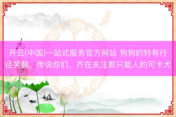 开云(中国)一站式服务官方网站 狗狗的特有行径笑翻，传说你们，齐在关注那只能人的可卡犬